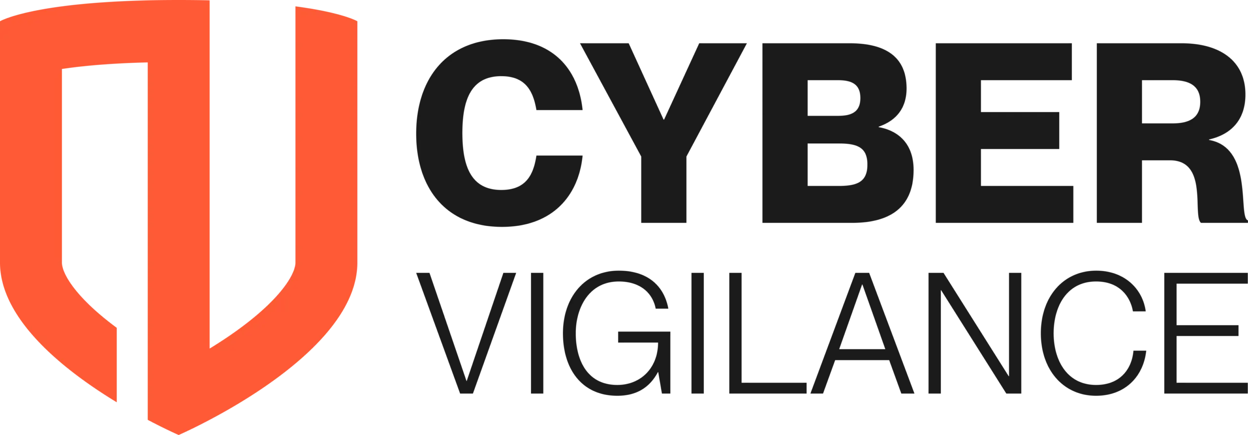 Cyber Vigilance